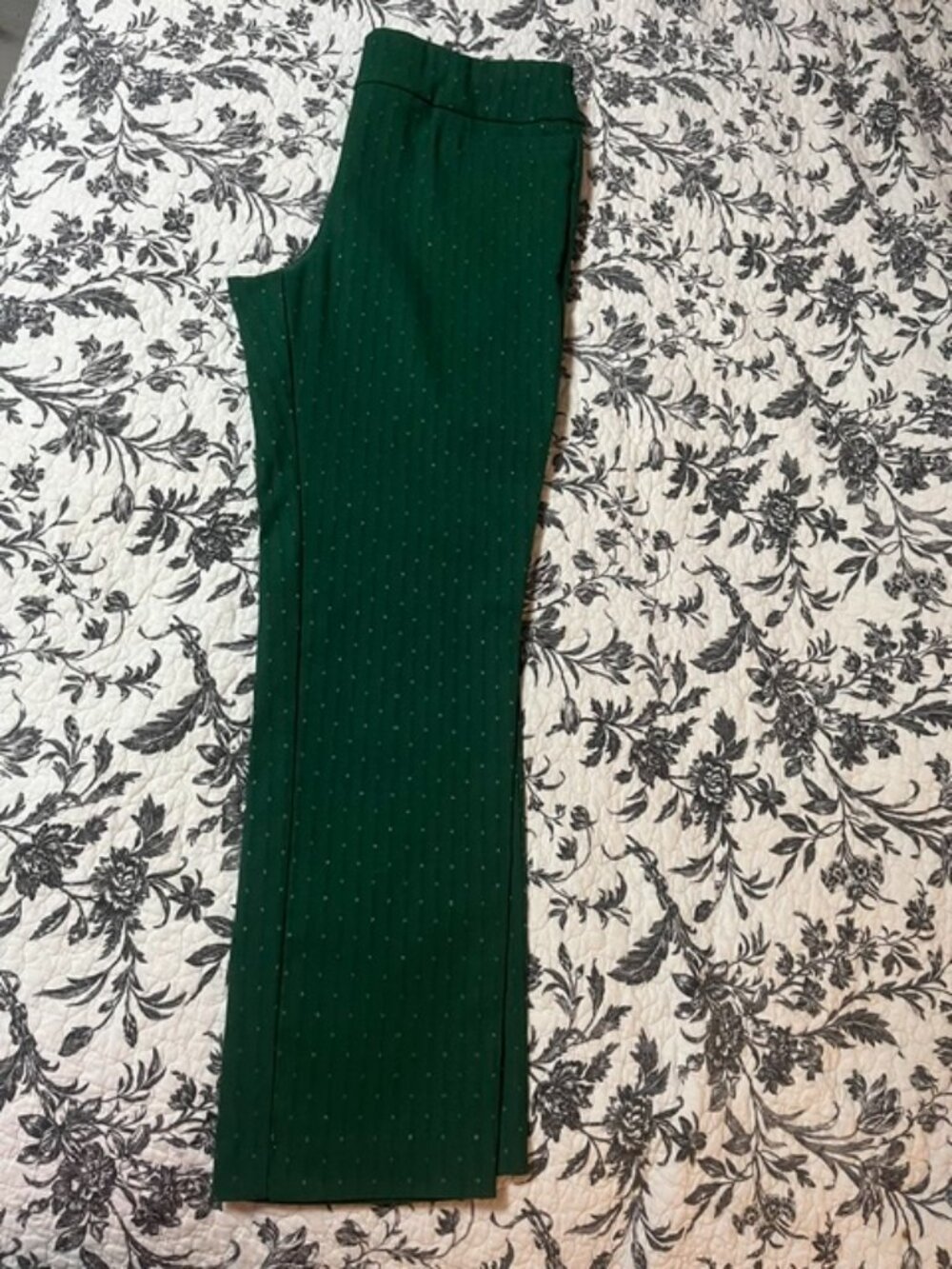 Kim Rogers Green Sparkly Pants, Size 10P Petite